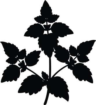 black plant silhouette on white background clip art preview