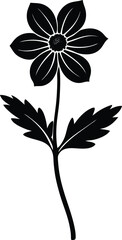 wood anemone stem silhouette vector on white 
