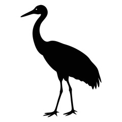 crane bird silhouette image