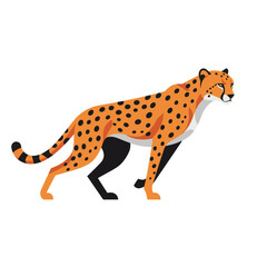 Cheetah Animal isolated flat vector illustration on white background