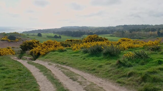 Walking the Paston Way along the clifftops in Cromer, Norfolk Coast. Push in shot