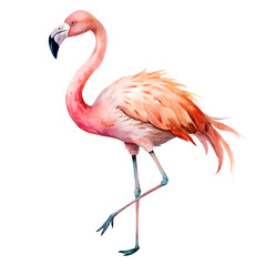 Watercolor flamingo delicate pink hues minimalis – High Quality Watercolor Illustration