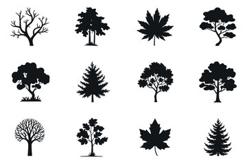 Fototapeta premium Vector set of various tree and leaf icons in black silhouette style, including a variety of tree shapes and leaf designs. Perfect for environmental, nature, and landscaping projects.