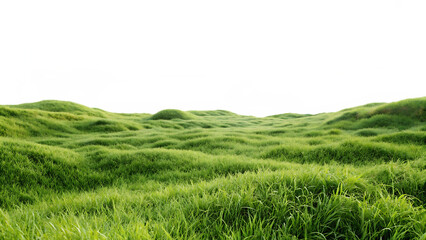 green grassland landscape isolated on white background PNG
