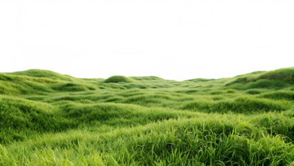 green grassland landscape isolated on white background PNG