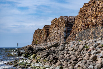Obraz premium Endless Timber Wall along Rocky Coastline at Baltic Sea Port on Sunny Day – Industrial Forestry Export