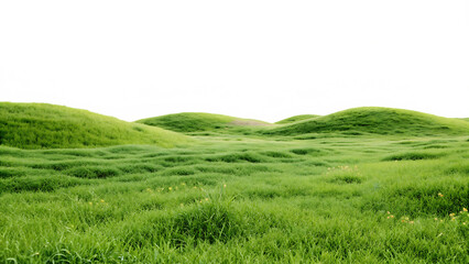green grassland landscape isolated on white background PNG