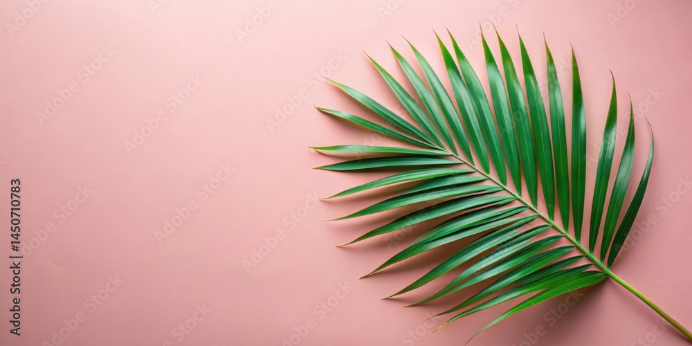 Aufkleber a single palm leaf on a soft pink background, creating a minimalist and tropical aesthetic