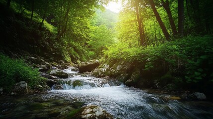 Obraz premium Serene Forest Stream: A Peaceful Waterscape with Lush Greenery and Sunlight