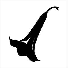 Elegant silhouette of a trumpet shaped flower bloom on a white background