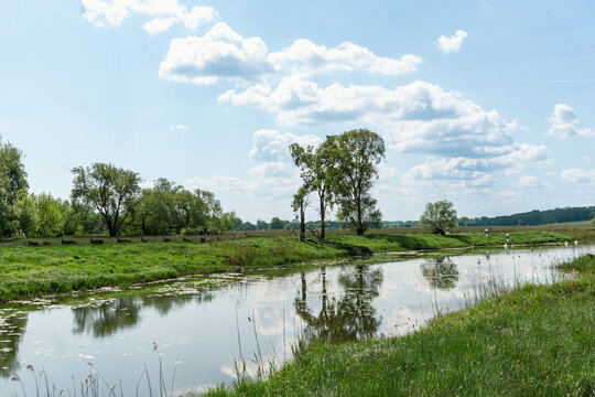 Wandern im idyllischen Oderbruch in Brandenburg, Deutschland im Fr&uuml;hling