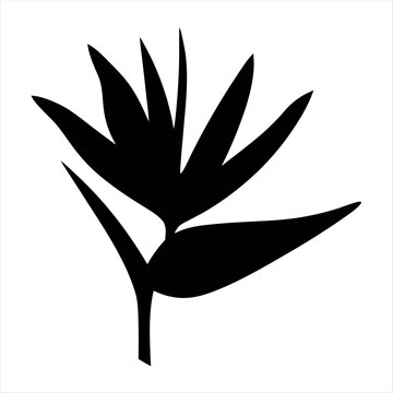 black bird of paradise flower silhouette clip art preview