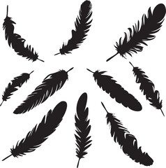 Black Set of Feather silhouette isolated on white background