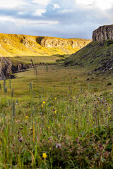 Scenic Green Valley with Rocky Cliffs and Wildflowers in Summer