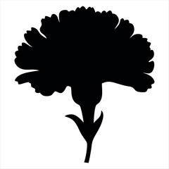 Elegant Carnation Silhouette, Flower Petal Outline Isolated on White Background