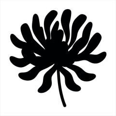 Silhouette of a Chrysanthemum Flower with a Long Stem on White