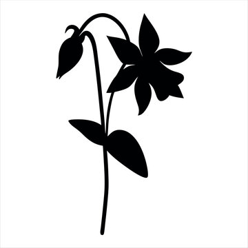 black columbine flower silhouette on white clip art preview
