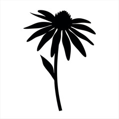 Dramatic Coneflower Silhouette A Bold Black and White Floral Illustration