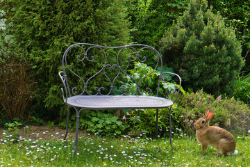 lapin à côté d'un banc dans un jardin