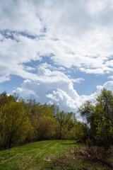 Fototapeta premium A tranquil and serene landscape showcasing vibrant green grass sprawling beneath a breathtakingly beautiful, cloudy sky, perfectly capturing the stunning splendor of nature in this peaceful moment