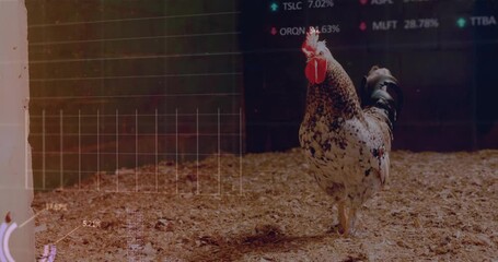 3D-rendered rooster perching on wood shavings while financial charts and tickers overlaying barn - Powered by Adobe