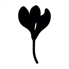 Stylized Crocus Flower Silhouette with Simplistic Elegance on a White Background