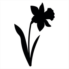 Naklejka premium Single Narcissus Flower Silhouette with Leaves on a White Background Art