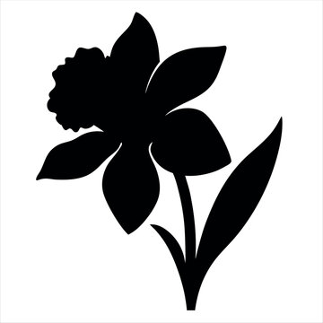 recommend clip art: Black silhouette of a daffodil flower with white background and leaves