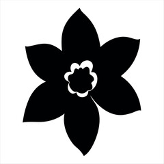 Single stark black and white flower illustration with intricate center detail