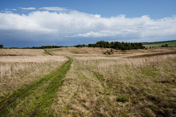 A scenic landscape showcases a picturesque dirt pathway that winds its way through expansive open fields, all set beneath a dynamic and everchanging sky filled with captivating clouds