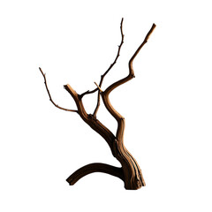 Fototapeta premium Weathered wooden branches 