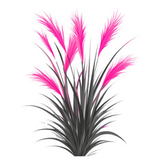 Obraz premium Stylized botanical arrangement with vibrant pink plumes against a stark expansive setting