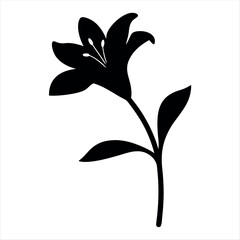 Silhouette of a Lily Flower with Stem and Leaves on White Background
