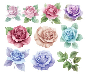 Soft Pastel Watercolor Roses Collection for Romantic, Vintage, and Botanical Floral Art Projects