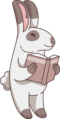 Rabbit Reading Book