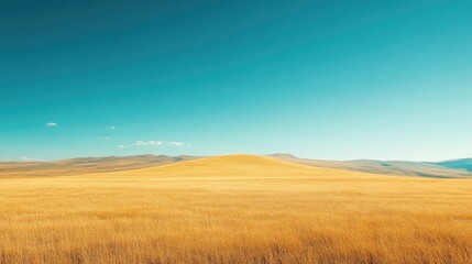Expansive golden field stretches beneath a vibrant azure sky.