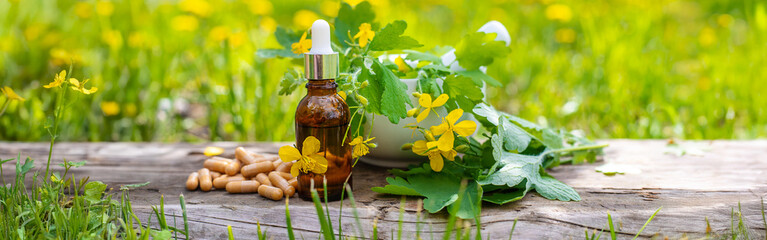 Medicinal herb celandine extract and dietary supplements. Selective focus.