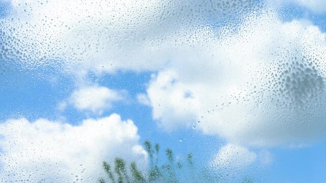  Housekeeping cleaner washes a window in a house with a rubber squeegee, spraying liquid on the glass and washing away dirt with a washer from the windows in the apartments. Slow motion