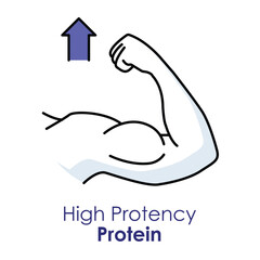 Vector icon for high potency protein. Displays a muscular arm with upward arrows, representing strength, fitness, and muscle-building benefits.
