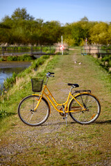 Beautiful yellow bicycle near a pond or a lake. Spring or summer nature Sweden 