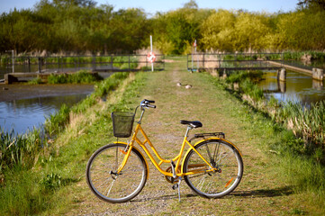 Beautiful yellow bicycle near a pond or a lake. Spring or summer nature Sweden 