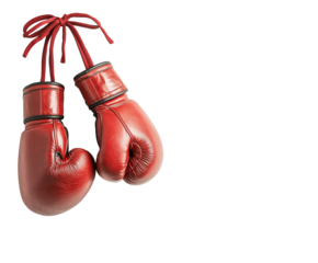 Pair of boxing gloves hanging, cut out white background