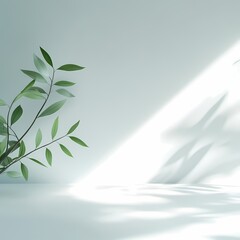 Minimalist plant casting soft shadows on pale green background, serene ambiance, nature-inspired decor, calm atmosphere