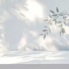 Elegant branch casting intricate shadows on soft gradient surface, minimalist design, serenity and nature theme.