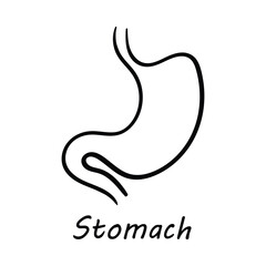 Vector Icon for Stomach: Human Digestive System and Stomach Health Illustration