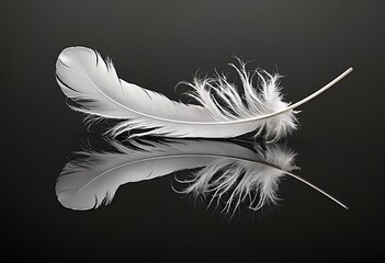 a delicate white feather and its mirrored reflection create a symmetrical and ethereal composition against a stark black background.