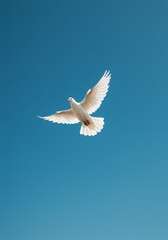 Obraz premium White Dove Flies in Blue Sky