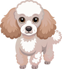 Poodle Vector 