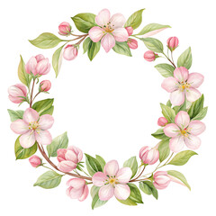 Fototapeta premium pink flower frame isolated on white background 