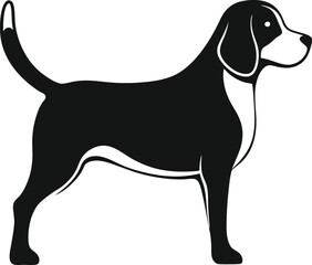Beagle vector 